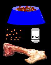 What's best for my dog?