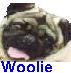 Woolie