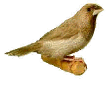 To open click in the picture!!