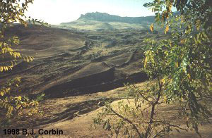 Bukti Keagungan Allah S.W.T