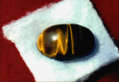 Bukti Keagungan Allah S.W.T