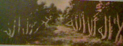 Bukti Keagungan Allah S.W.T