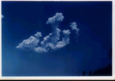 Bukti Keagungan Allah S.W.T