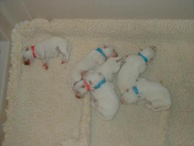 Adventuring Out A Bit