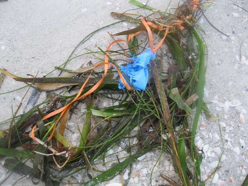 Balloons Blow Don't Let Them Go