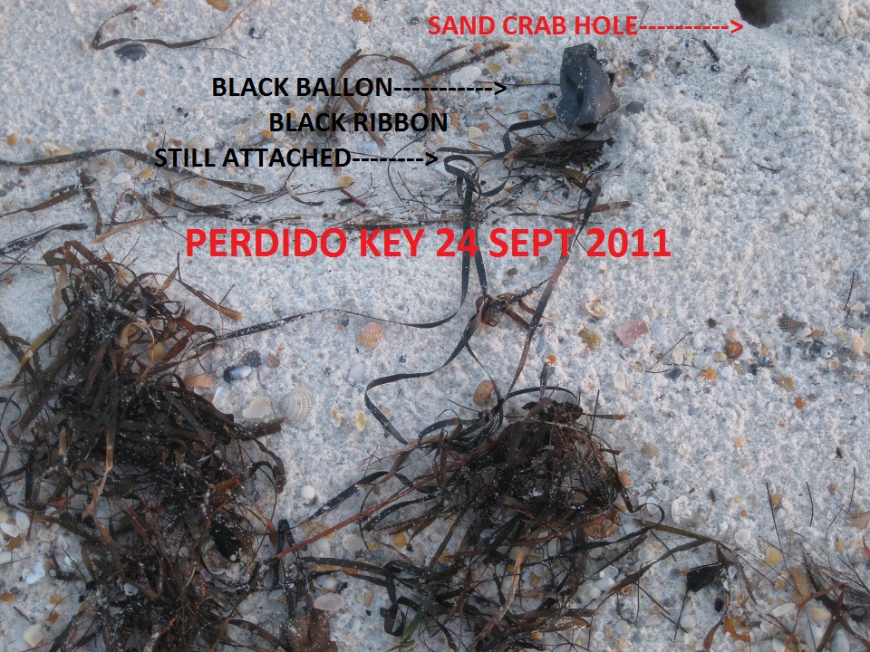 Balloons Blow Don't Let Them Go