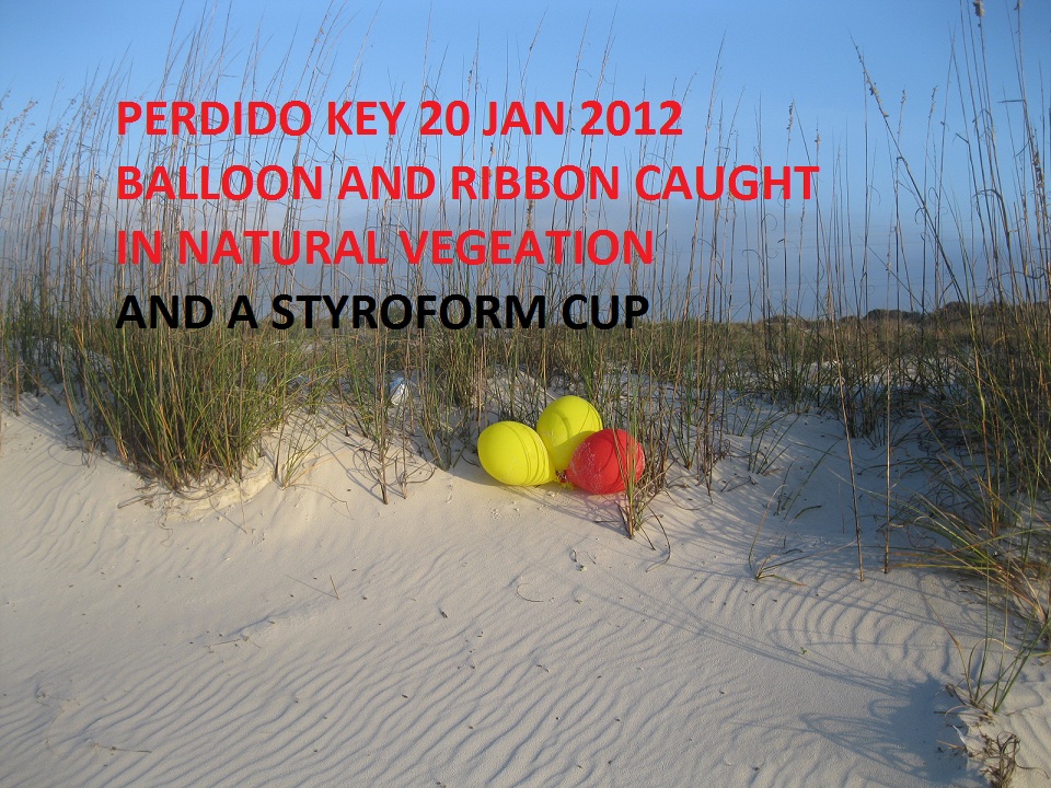 Balloons Blow Don't Let Them Go