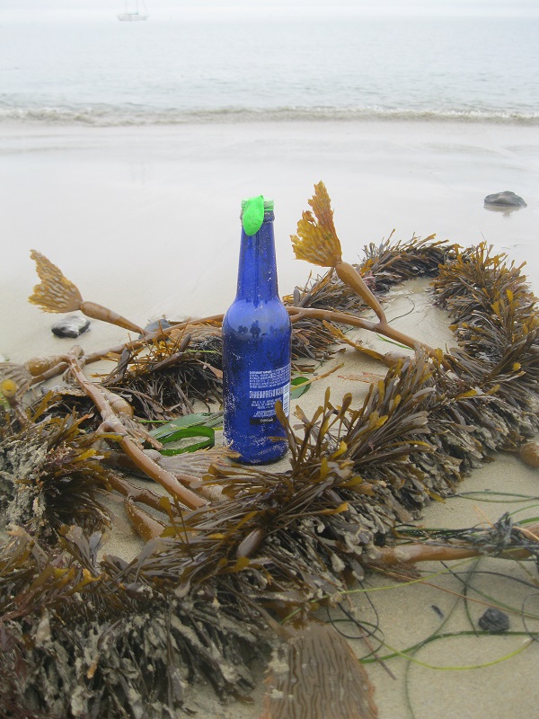 Balloons Blow Don't Let Them Go