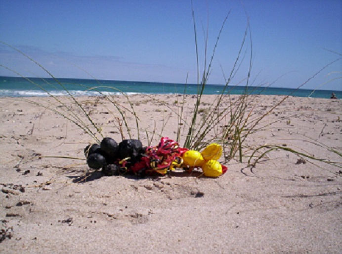 Balloons Blow Don't Let Them Go