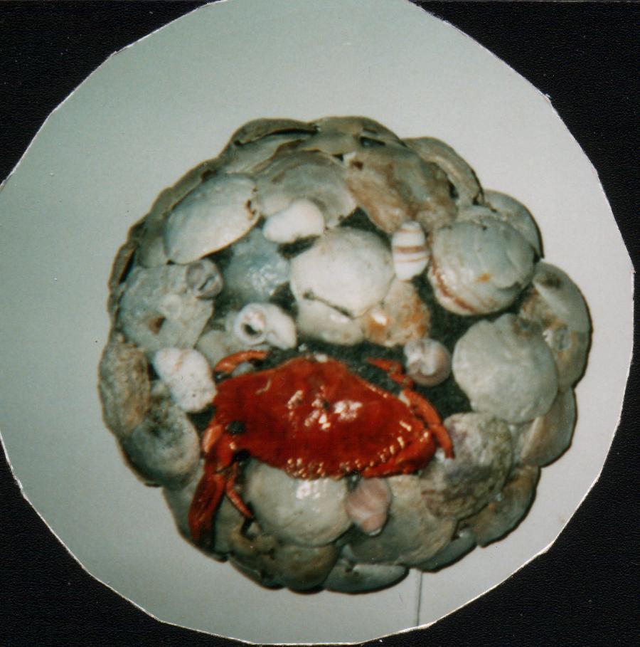 CLICK HERE TO RETURN TO SMALL VIEWS