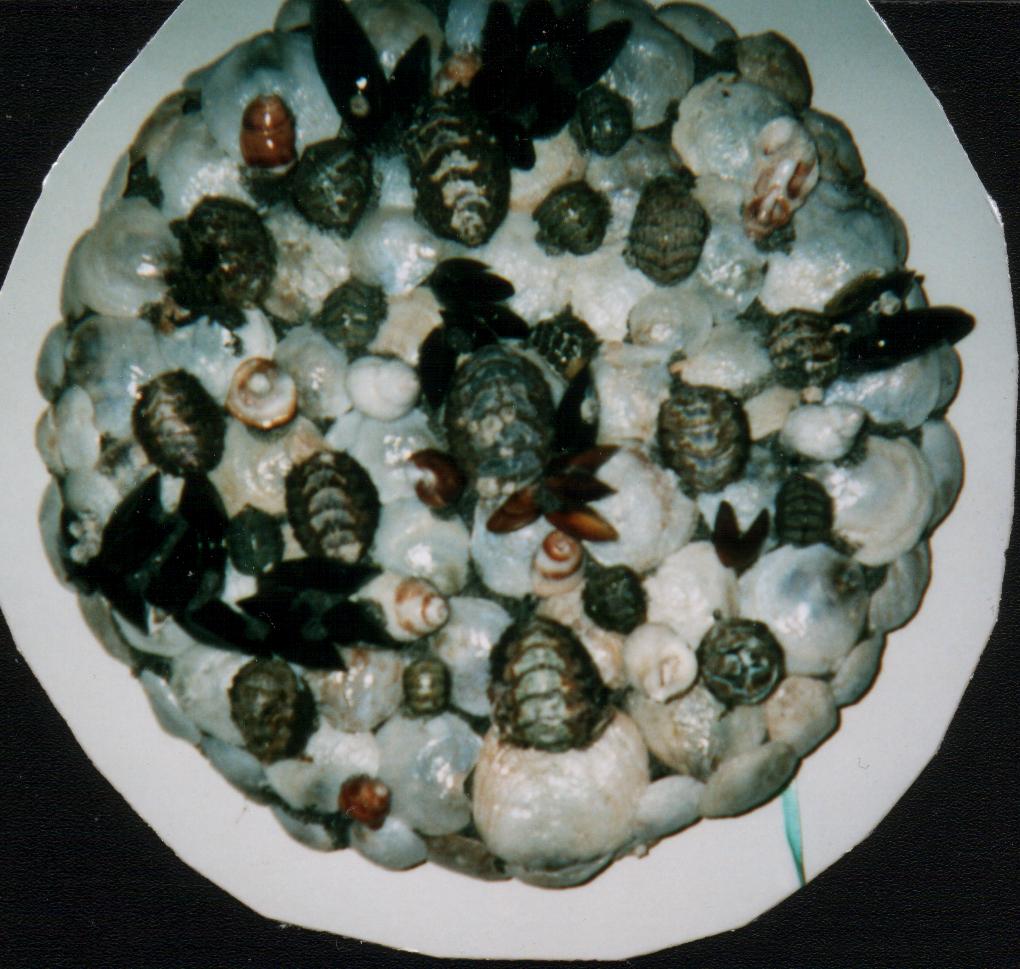 CLICK HERE TO RETURN TO SMALL VIEWS