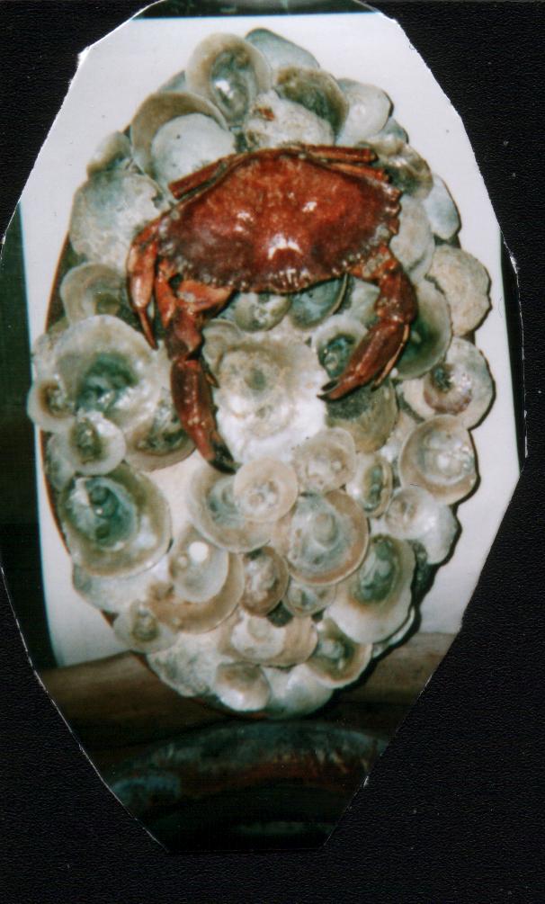 CLICK HERE TO RETURN TO SMALL VIEWS