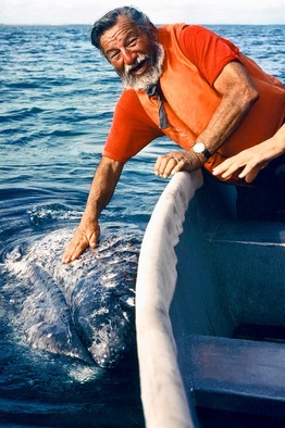 John Olguin Director, Cabrillo Marine Museum