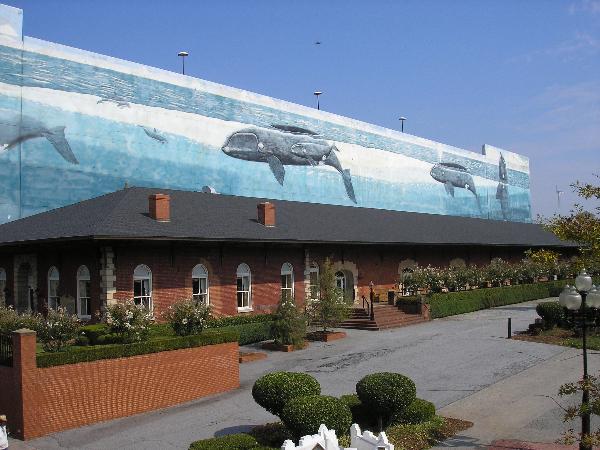 WYLAND WALL 50 ATLANTA, GA EXTINCT SEPT 2011 CREATED SEPT 1993