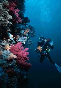 TWO GIRLS UNDERWATER