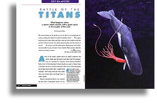 SEARCH FOR THE GIANT SQUID