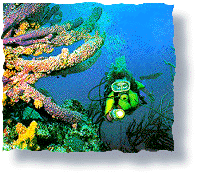 TWO GIRLS UNDERWATER