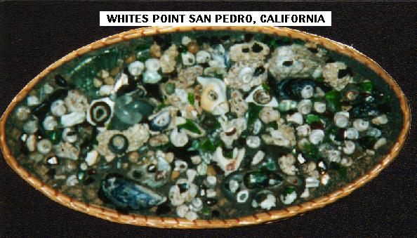 BeachCombers Collectibles