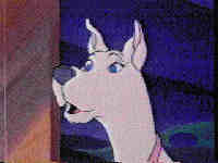 Webmaster Scooby Dee