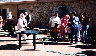 Find the Pink Bunnies