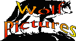 Wolf Pictures