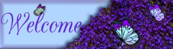 welcome banner