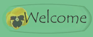 welcome banner