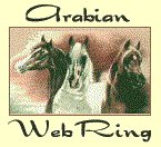 This site is another Oasis in the 
Arabian Horse WebRing