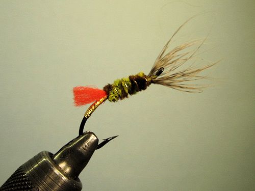 Ken's Mossback Variant