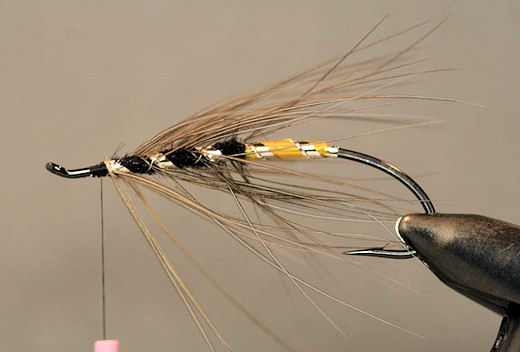 Next wrap the oval silver wire forward in the opposite direction of the rib and body hackle.  I usually use a dubbing needle when wrapping it through the hackle so I don�t trap any hackle fibers.  This rib will protect the hackle from breaking while you are fishing with the fly.  Tie it off and trim the excess.