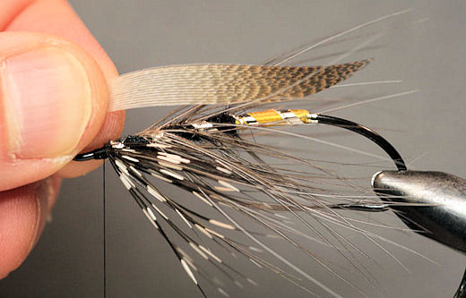 Hold the near wing up to the fly to make sure it is shaped properly.  If it is not use your fingers some more to stroke it into shape.