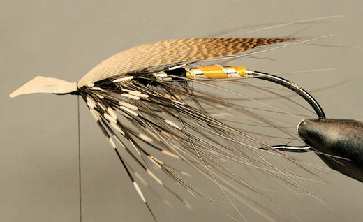 When you are done shaping it, hold it back up to the fly and take a loose turn of thread over it.  Before you tighten and lock the thread down use your fingers to make sure the wing is in the proper position.  