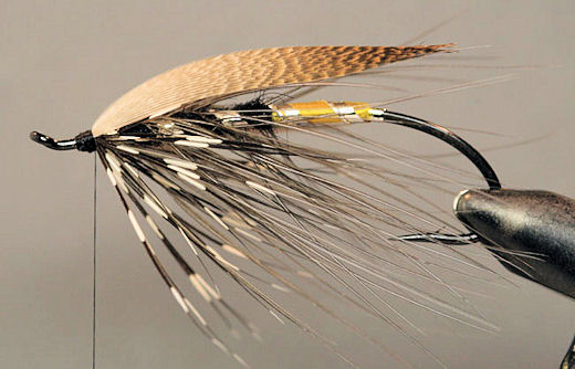 Finish the head with a whip finish.