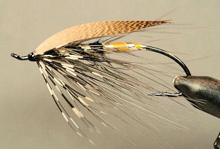 Tying the Gray Heron