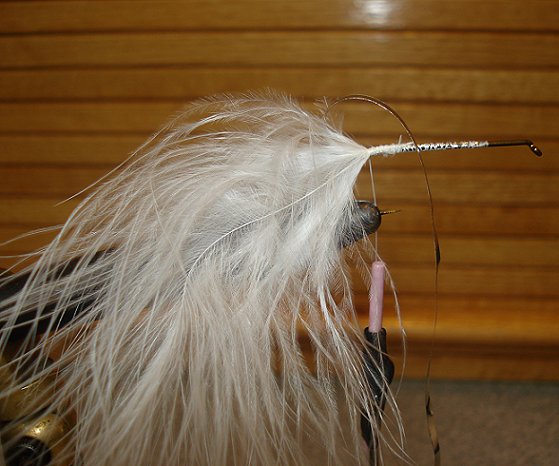 Secure thread on hook wrapping to bend of hook. Tie in flat tinsel and marabou plume. Important to tie in marabou in stem first, not by the tip.