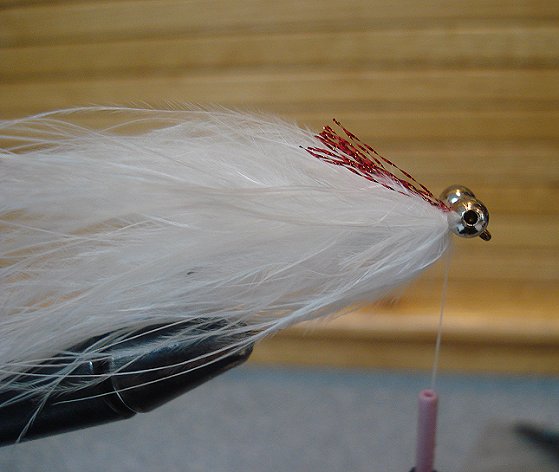 Tie in 12 strands of red Krystal flash behind eyes. This will be the gills as the bead chain forces the fly hook to ride keel up. Do not use died red material because the white marabou is very sensitive to bleeding colors.