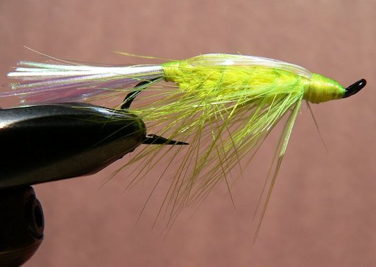 Green Sparkle Shrimp