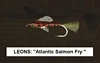 Leons Atlantic Salmon Fry