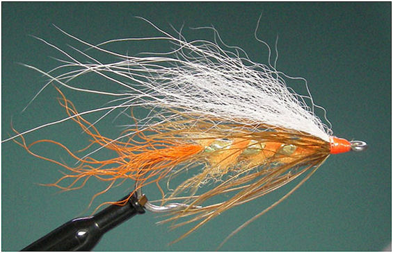 Johnsons Beach Fly