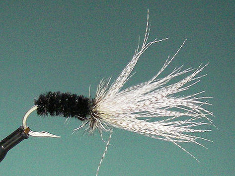 Reverse Spider, Black