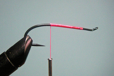 1. I start with a thread under wrap of the body. In this fly I am using a UTC 140 fluorescent pink thread.