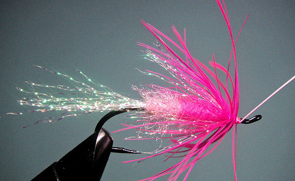 10. Wrap the hackle forward, tie off with the tying thread, and trim off the excess. I usually twist the hackle stem back and forth and can break it off at the thread wraps.