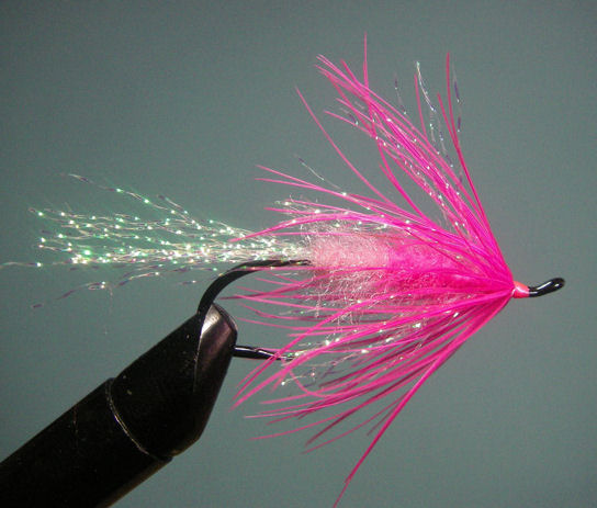 11. A whip finish and some head cement and you have a finished Electric Soft Hackle.