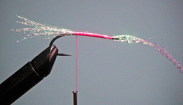 2. For the Krystal Flash tail and under hackle on this #2 hook, I select about 20 strands of Krystal Flash (about 10 of each color for two color flies). On this fly I only used Pearl but in any case roll the stands between your thumb and index finger to make the cut tips uneven and to mix the colors if using more than one color.