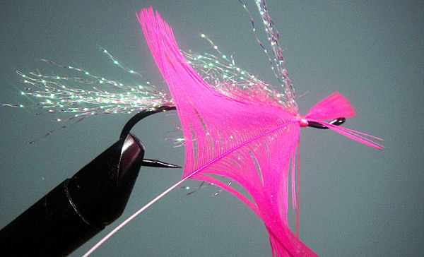 9. Tie the feather in by the tip and fold the soft hackle fibers to the rear before you wrap the stem forward. I use the scissors folding method shown to me by John Shewey and detailed in his book Steelhead Flies.