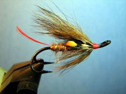 Brown Sugar Tied on a Double