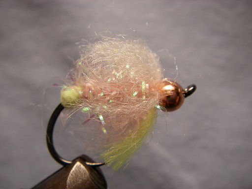 Throated Fuzz Bug (pale)