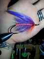 Purple and Orange Spey