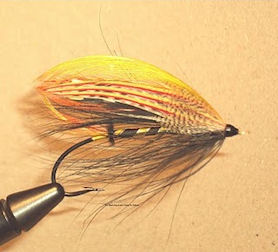 An old standard of my father�s, and a useful high water fly � very good on the Spey, Wye, etc.