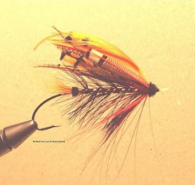 This is the modern version of a very old Tay pattern.  Black used to be the prevailing tone, but gay colours have been added to keep it abreast of the fashion.  It is used as a large Spring pattern, 20-17.